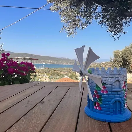 Nek House Zeytin Hotel