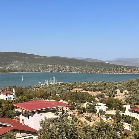 Nek House Zeytin Milas